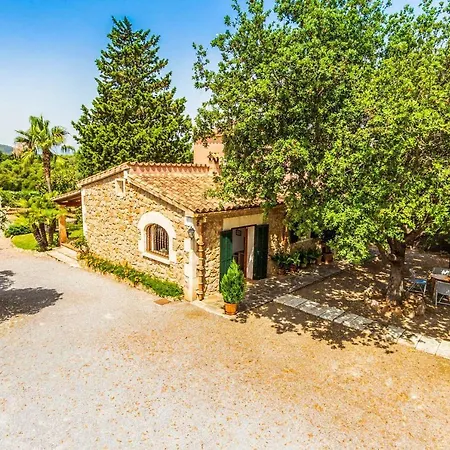 Alzina * Alcúdia